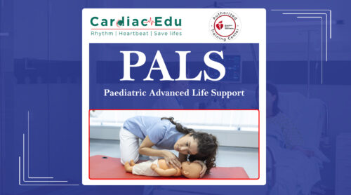 Paediatric Advanced Life Support