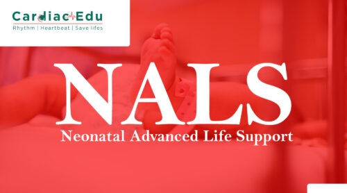 Neonatal Advanced Life Support