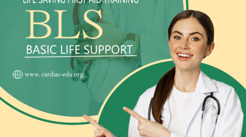 LSFT BASIC LIFE SUPPORT (BLS)